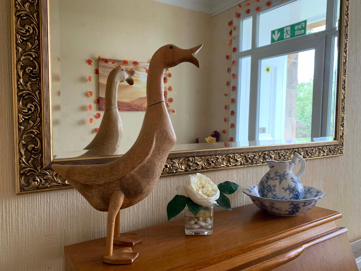 duck on shelf at barlochan house