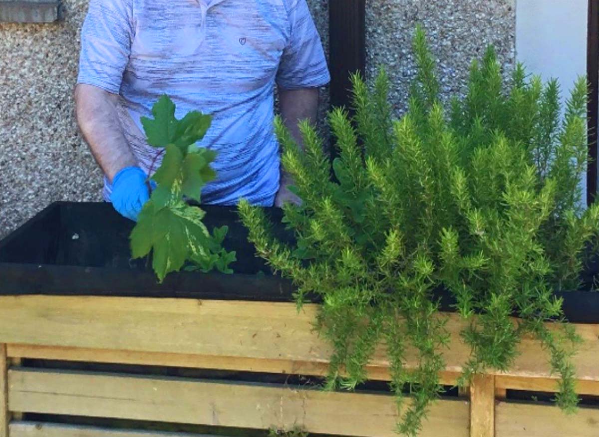 potting plants at barlochan house